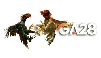 GA28